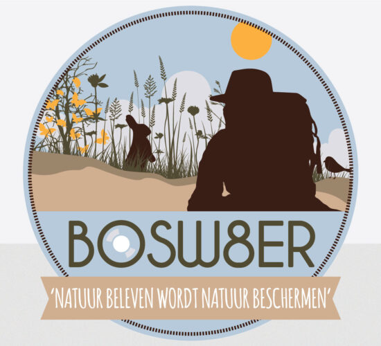 logo design bosw8er